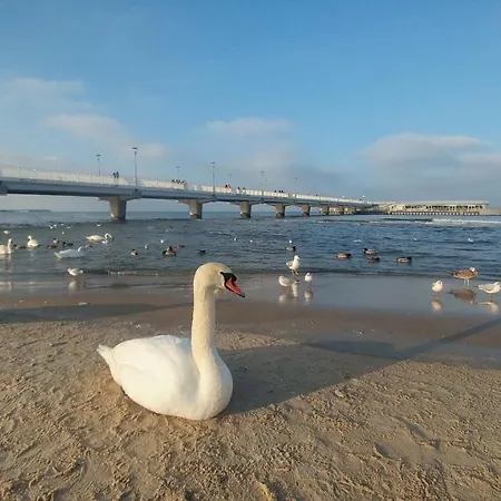 Prywatne W Przy Plazy Diva アパート *