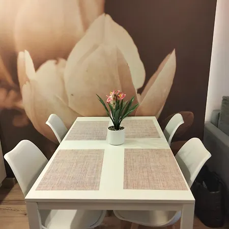 Prywatne W Przy Plazy Diva * コウォブジェク